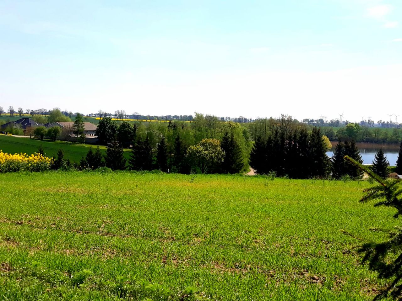 Działka rolno-budowlana Gruta. Zdjęcie 5