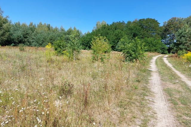 Działka budowlana Gąski, ul. Górna. Zdjęcie 1