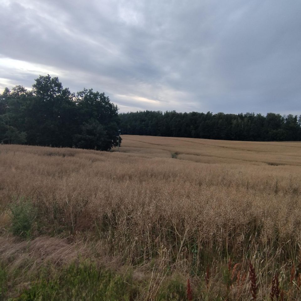 Działka rolna Czarlin, ul. Leśna. Zdjęcie 5