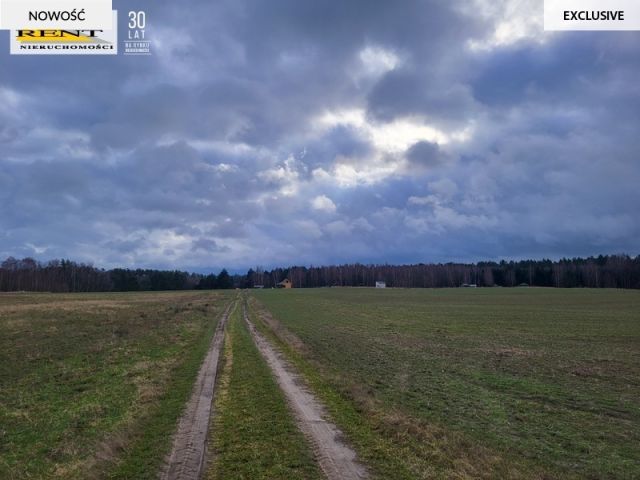 Działka rekreacyjna Chłopowo. Zdjęcie 12