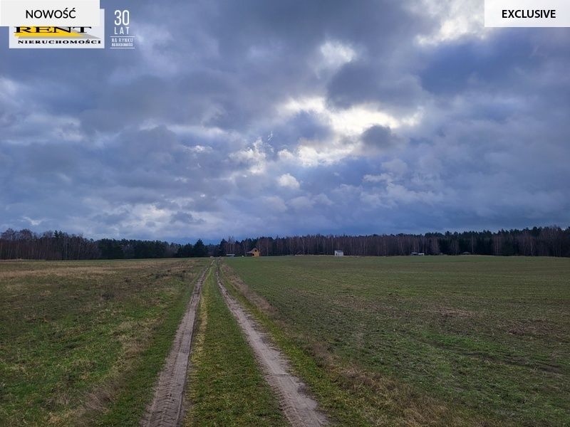 Działka rekreacyjna Chłopowo. Zdjęcie 12