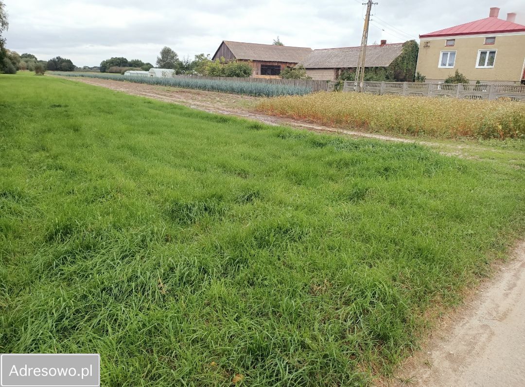 Działka rolna Wilczkowice Dolne. Zdjęcie 4