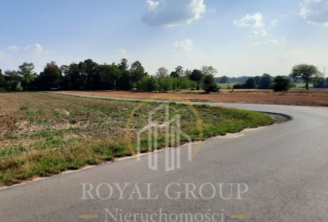 Działka rolna Rudno. Zdjęcie 2