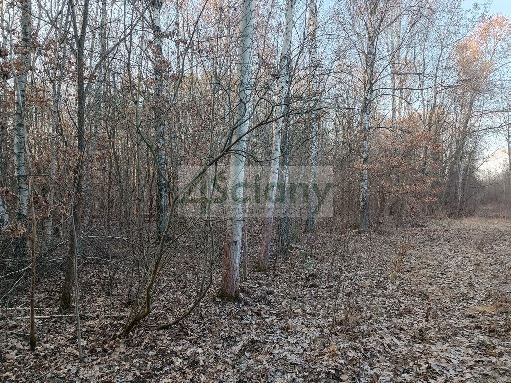 Działka budowlana Ojrzanów. Zdjęcie 11