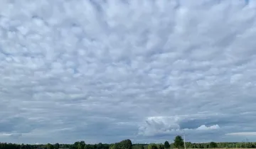 Działka na sprzedaż bez pośredników 
 
 Mokre - Widok 5