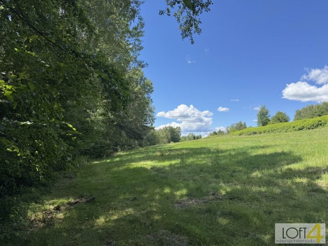 Działka budowlana Paleśnica. Zdjęcie 4