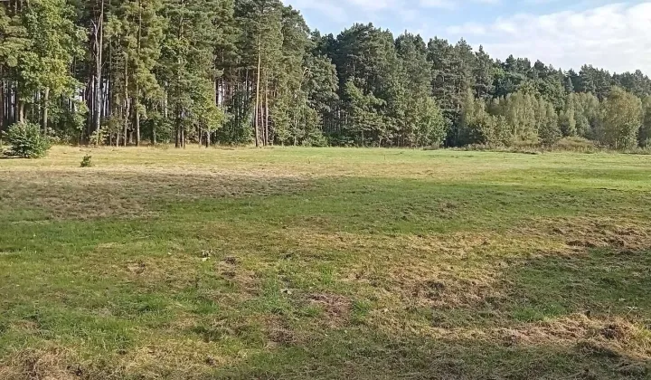 Działka budowlana Studzieniec