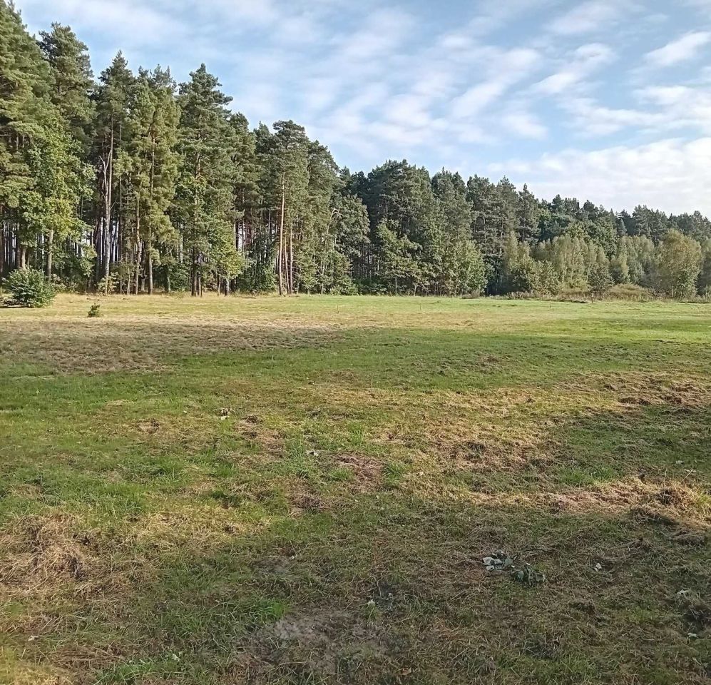 Działka budowlana Studzieniec