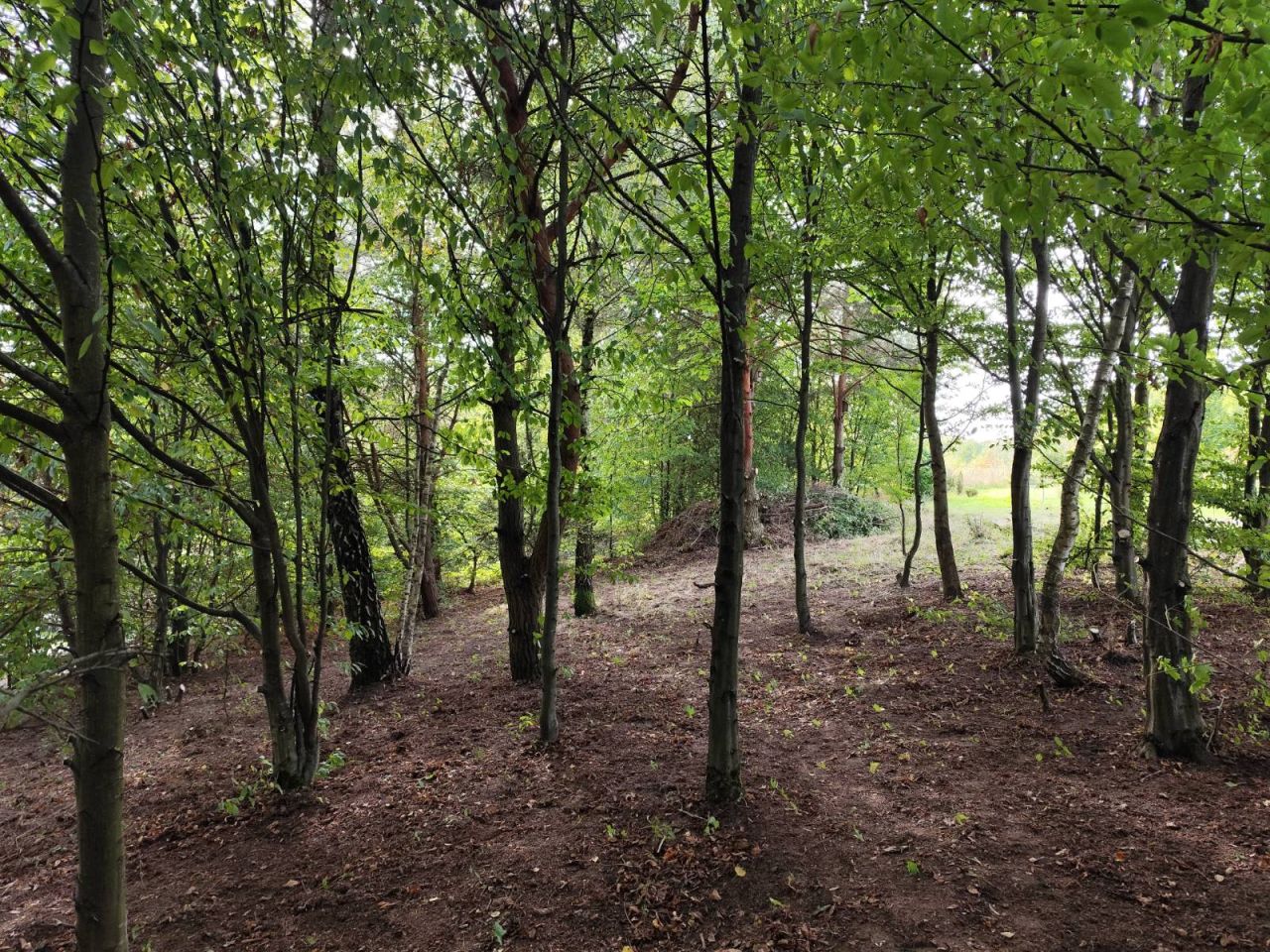 Działka rolna Wierzchucinek. Zdjęcie 1