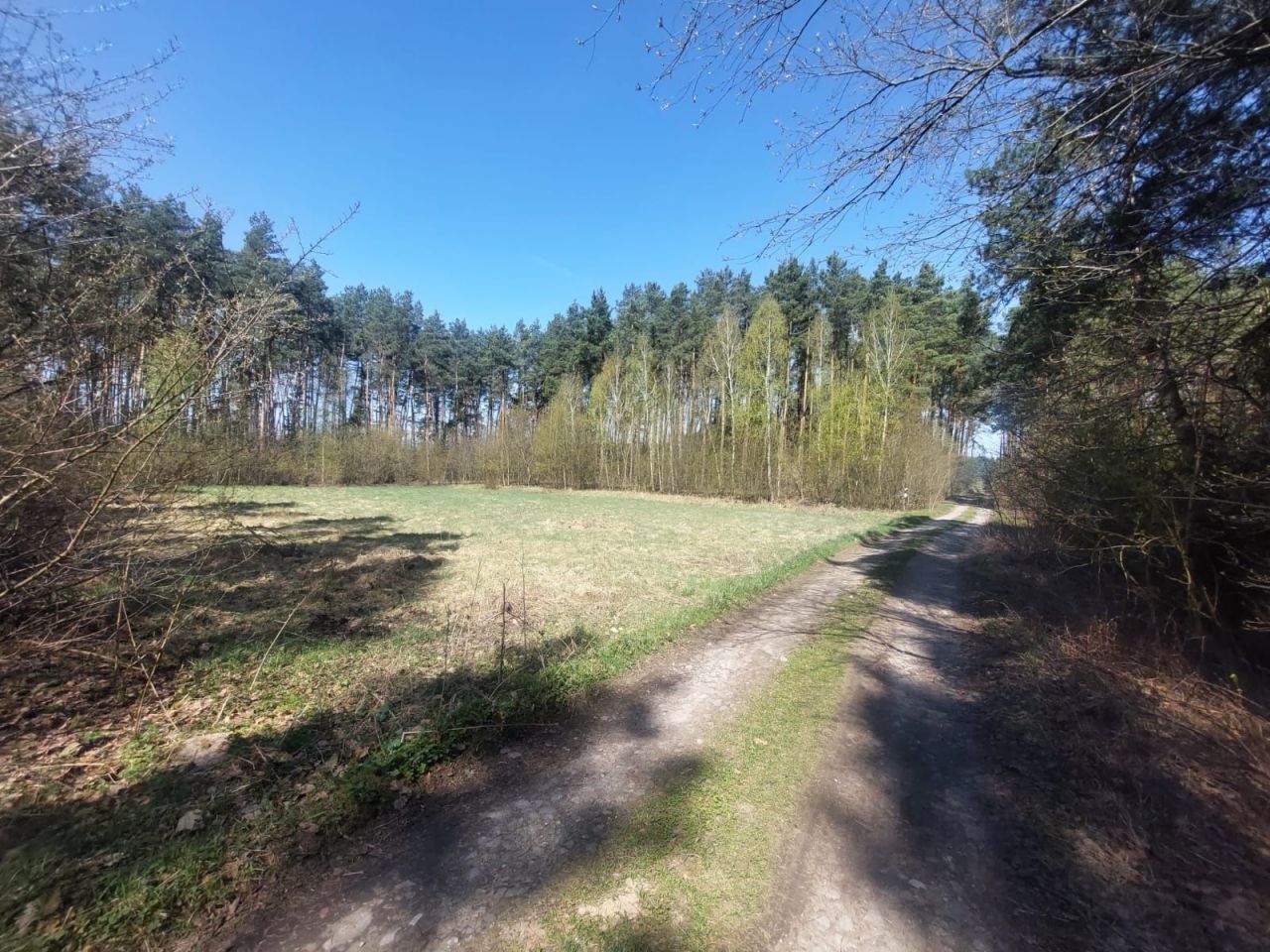 Działka budowlana Obrowo, ul. Sarnia. Zdjęcie 5