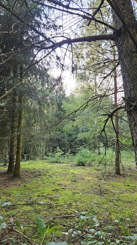 Działka rekreacyjna Popielżyn-Zawady. Zdjęcie 7