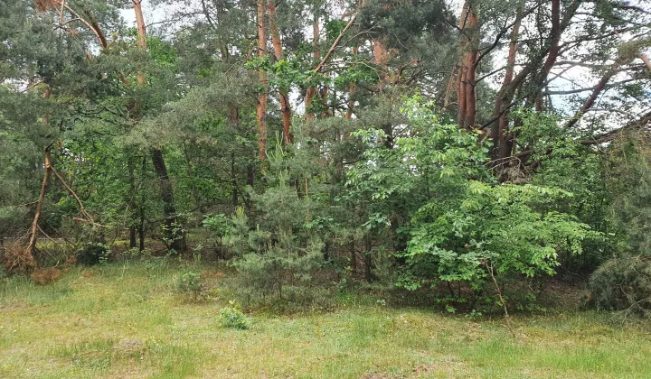 Działka inna Boska Wola