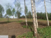 Działka Jęcznik. Zdjęcie 1