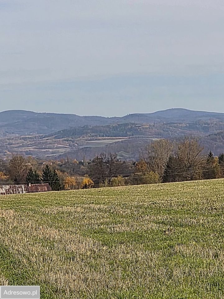 Działka budowlana Stary Wielisław. Zdjęcie 8