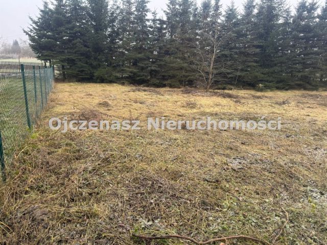 Działka Jeleń. Zdjęcie 2