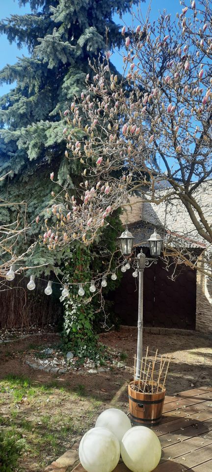 bliźniak, 5 pokoi Swarzędz, ul. Pawia. Zdjęcie 22