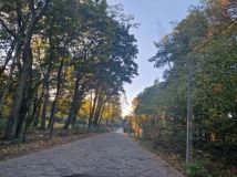 Działka budowlana Wołomin Mironowe Górki. Zdjęcie 4