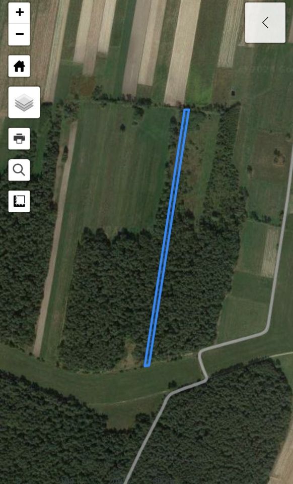 Działka leśna Celiny Szlacheckie. Zdjęcie 4