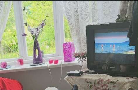 Działka rod Ciechocinek Kępa Dzikowska, ul. Cypriana Kamila Norwida. Zdjęcie 11