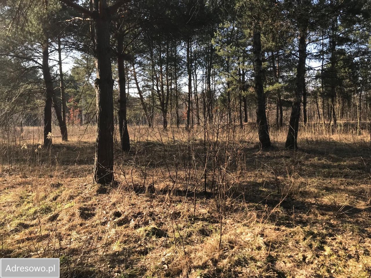 Działka budowlana Łubniki. Zdjęcie 6