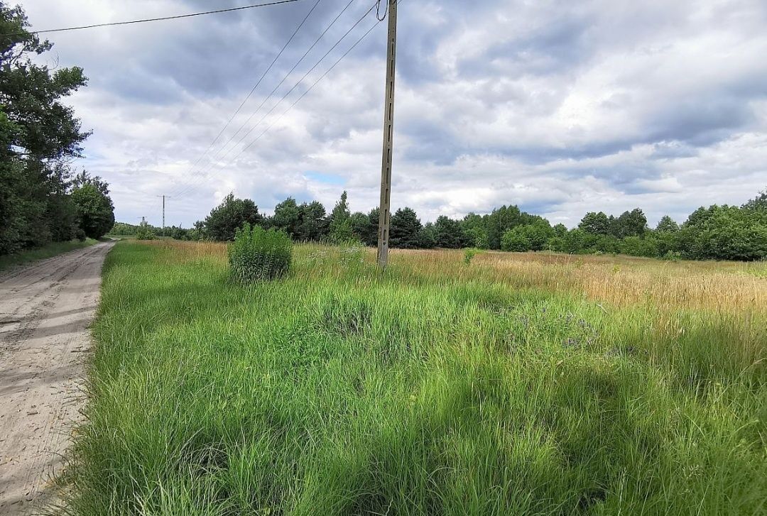 Działka rolna Malinówka. Zdjęcie 2