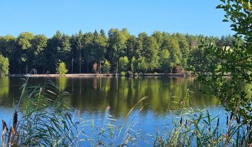 Działka rolna Chocianowiec