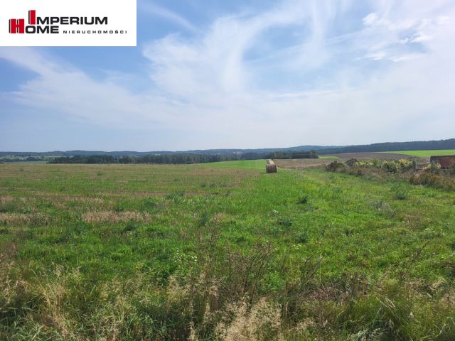 Działka budowlana Dzięcielec. Zdjęcie 7