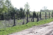 Działka rolna Rzęśnica. Zdjęcie 1