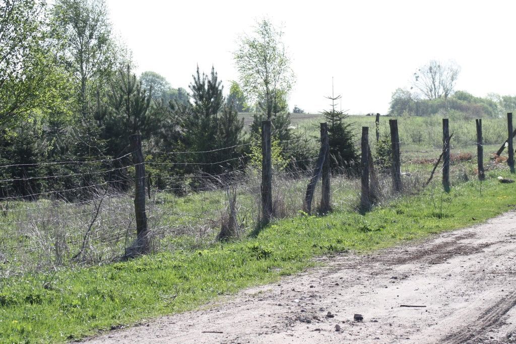 Działka rolna Rzęśnica. Zdjęcie 2