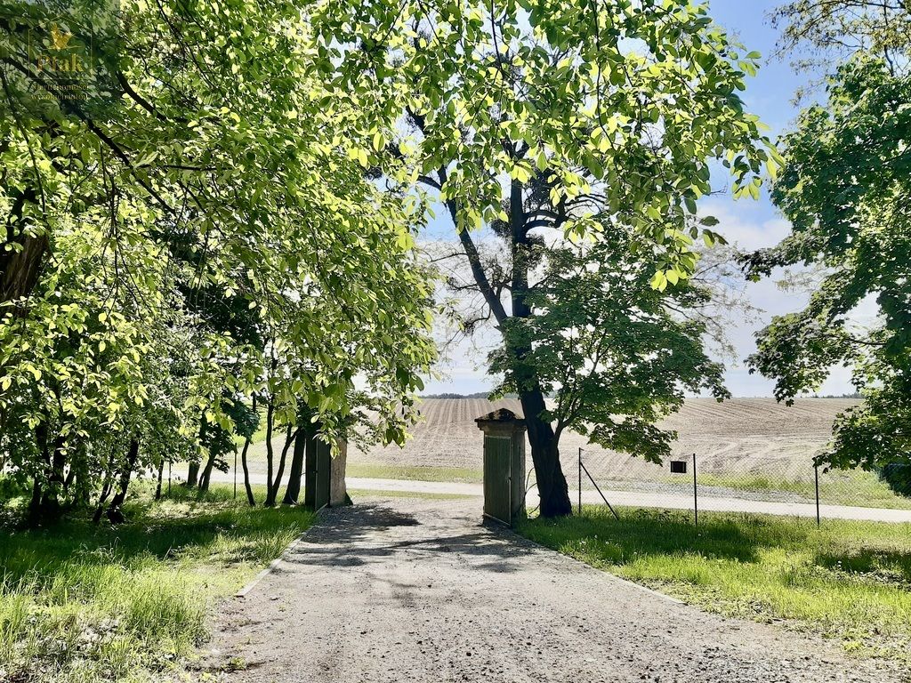 Działka budowlana Luciny. Zdjęcie 12