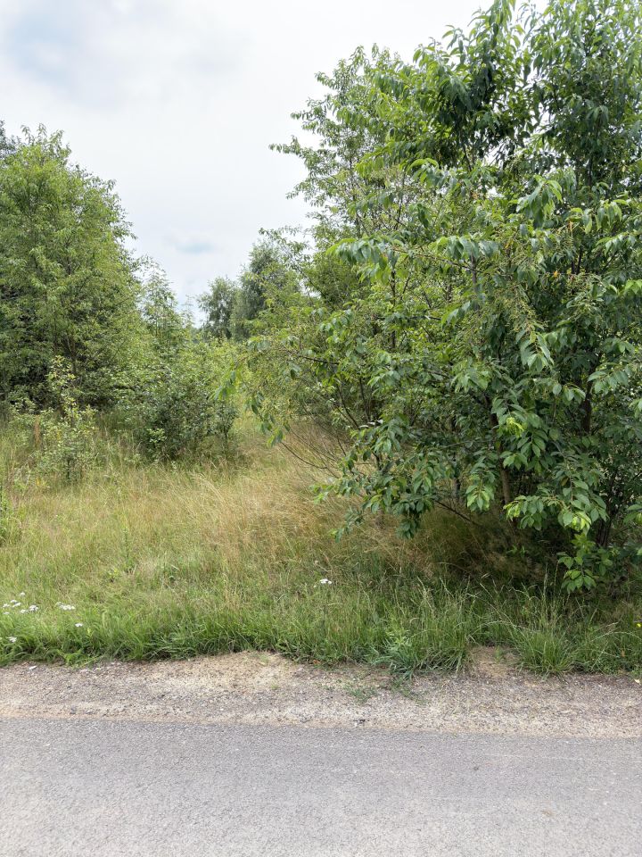 Działka budowlana Węgrzynów, pogodna. Zdjęcie 4