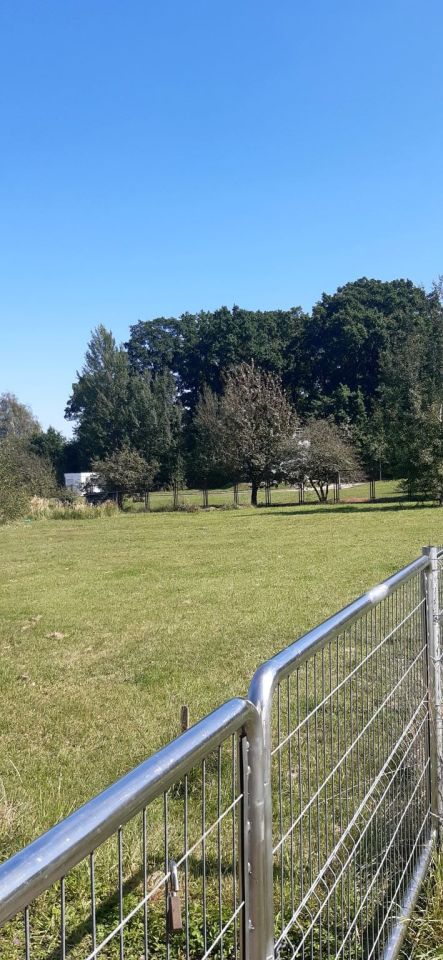 Działka budowlana Osola, ul. Wiśniowa. Zdjęcie 9