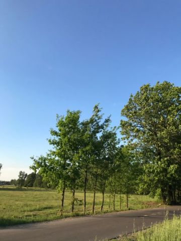 Działka budowlana Janów-Mikołajówka. Zdjęcie 1