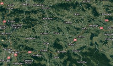 Działka leśna Łużna Wesołów
