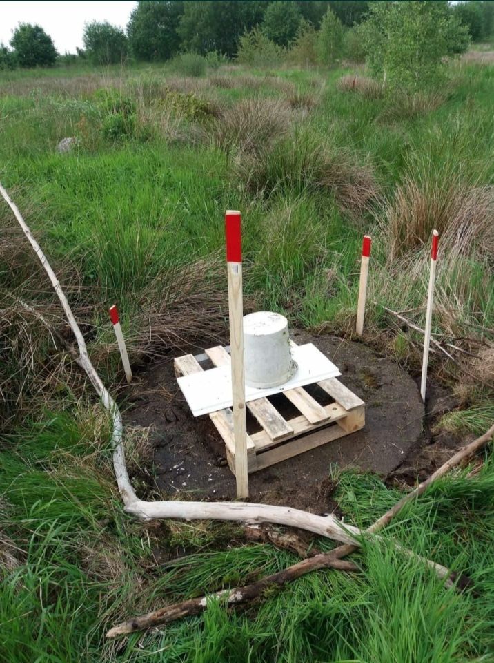 Działka budowlana Kowalewo, ul. Wiśniowa. Zdjęcie 8