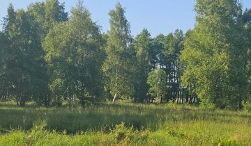 Działka rekreacyjna Sarbsk