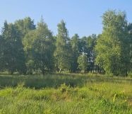 Działka rekreacyjna Sarbsk