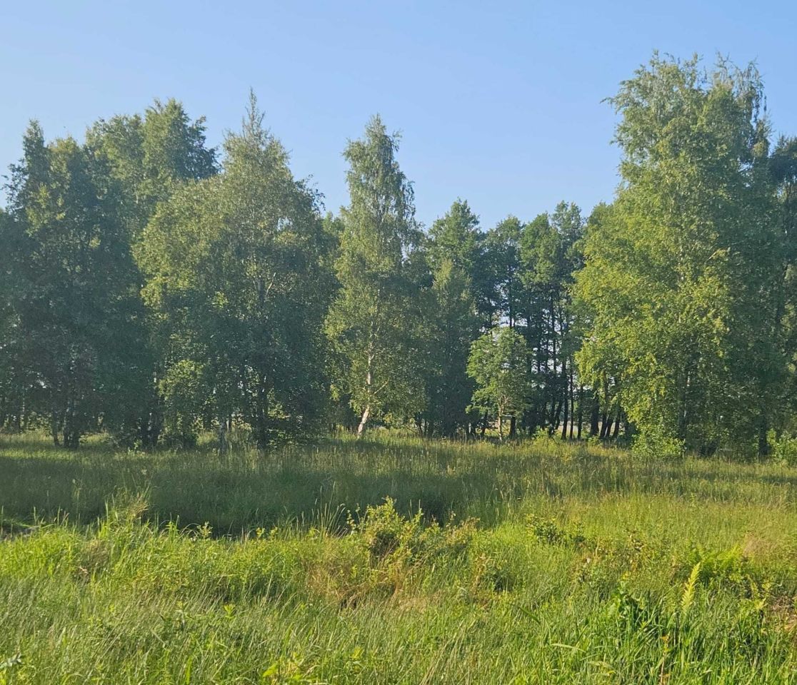Działka rekreacyjna Sarbsk
