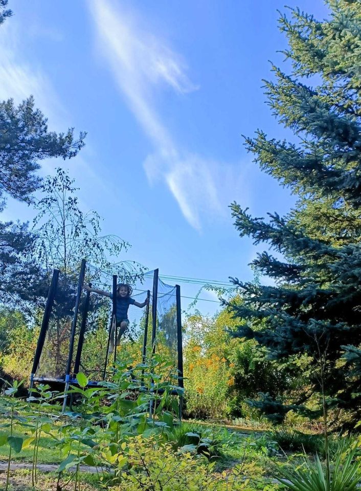 Działka rod Lubin, ul. Spacerowa. Zdjęcie 8