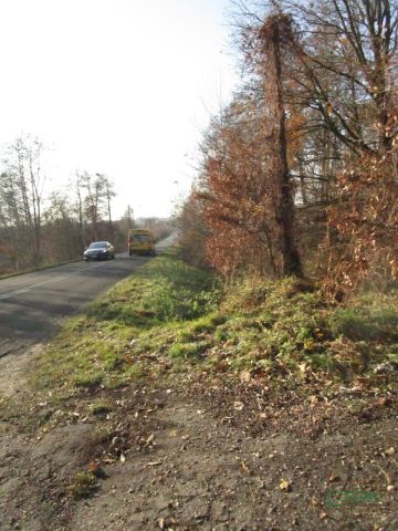 Działka inna Mszana. Zdjęcie 5