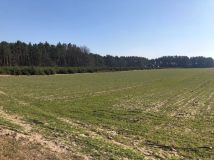 dom wolnostojący Szydłów. Zdjęcie 2