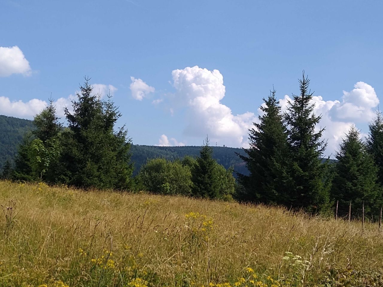 Działka Sierpnica. Zdjęcie 7