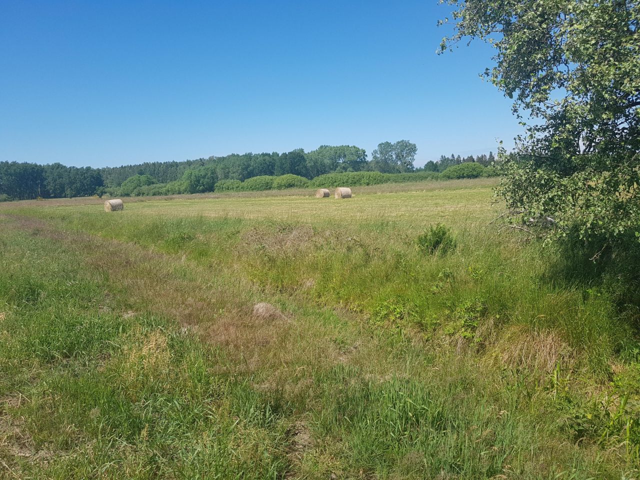 Działka budowlana Sarbsk, ul. Morska. Zdjęcie 13