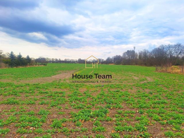 Działka budowlana Żołędowo, ul. Klonowa. Zdjęcie 2