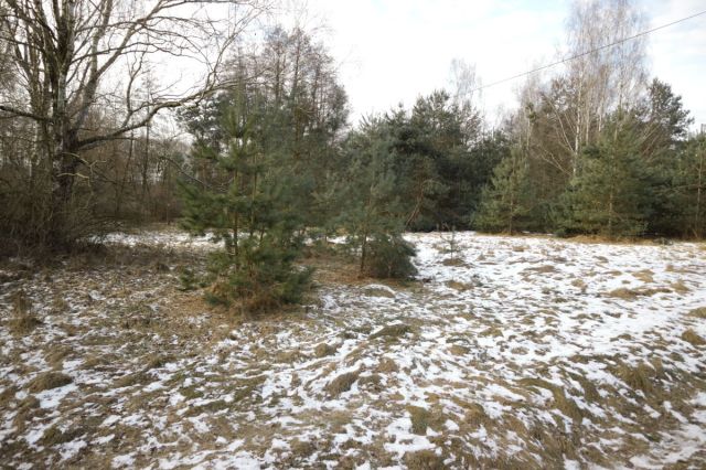 Działka budowlana Nekielka, ul. Kwiatowa. Zdjęcie 4