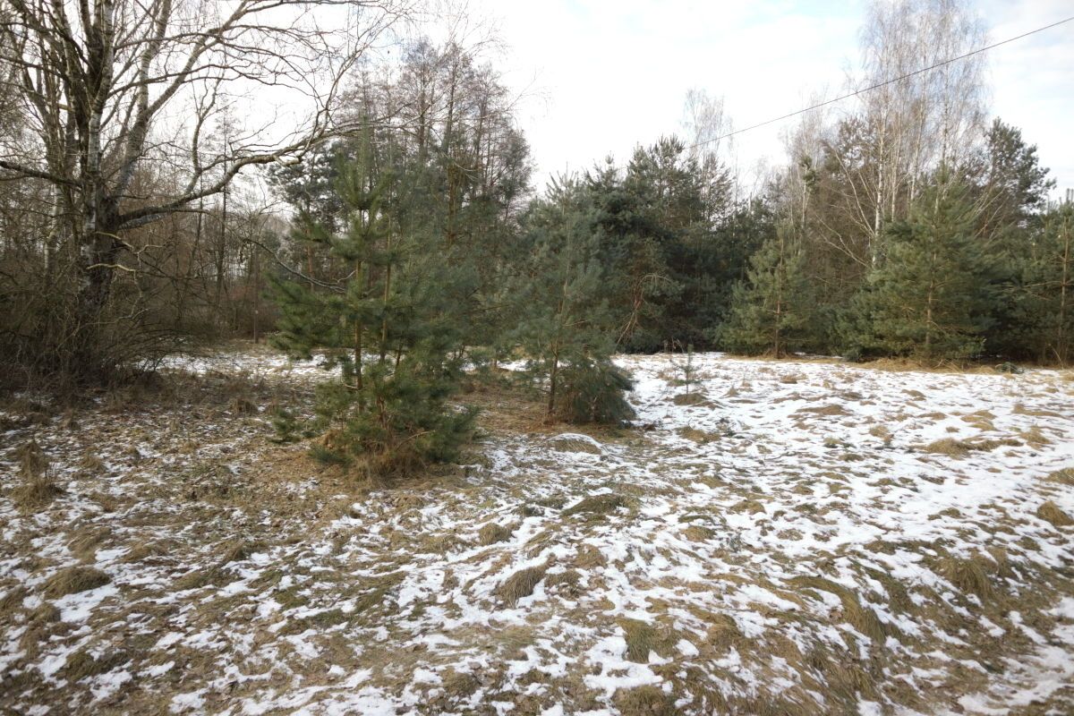 Działka budowlana Nekielka, ul. Kwiatowa. Zdjęcie 4