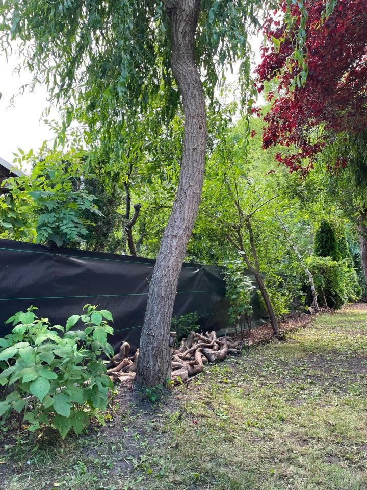 Działka rod Bydgoszcz, ul. Józefa Sułkowskiego. Zdjęcie 7