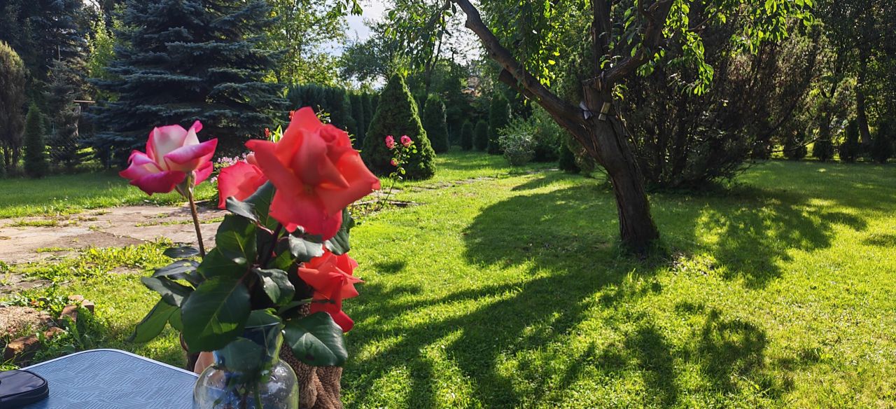 Działka rod Łódź Chojny, ul. Pryncypalna. Zdjęcie 14