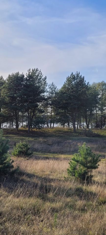 Działka budowlana Gudowo. Zdjęcie 5