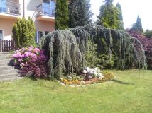 Hotel/pensjonat Ustronie Morskie. Zdjęcie 2